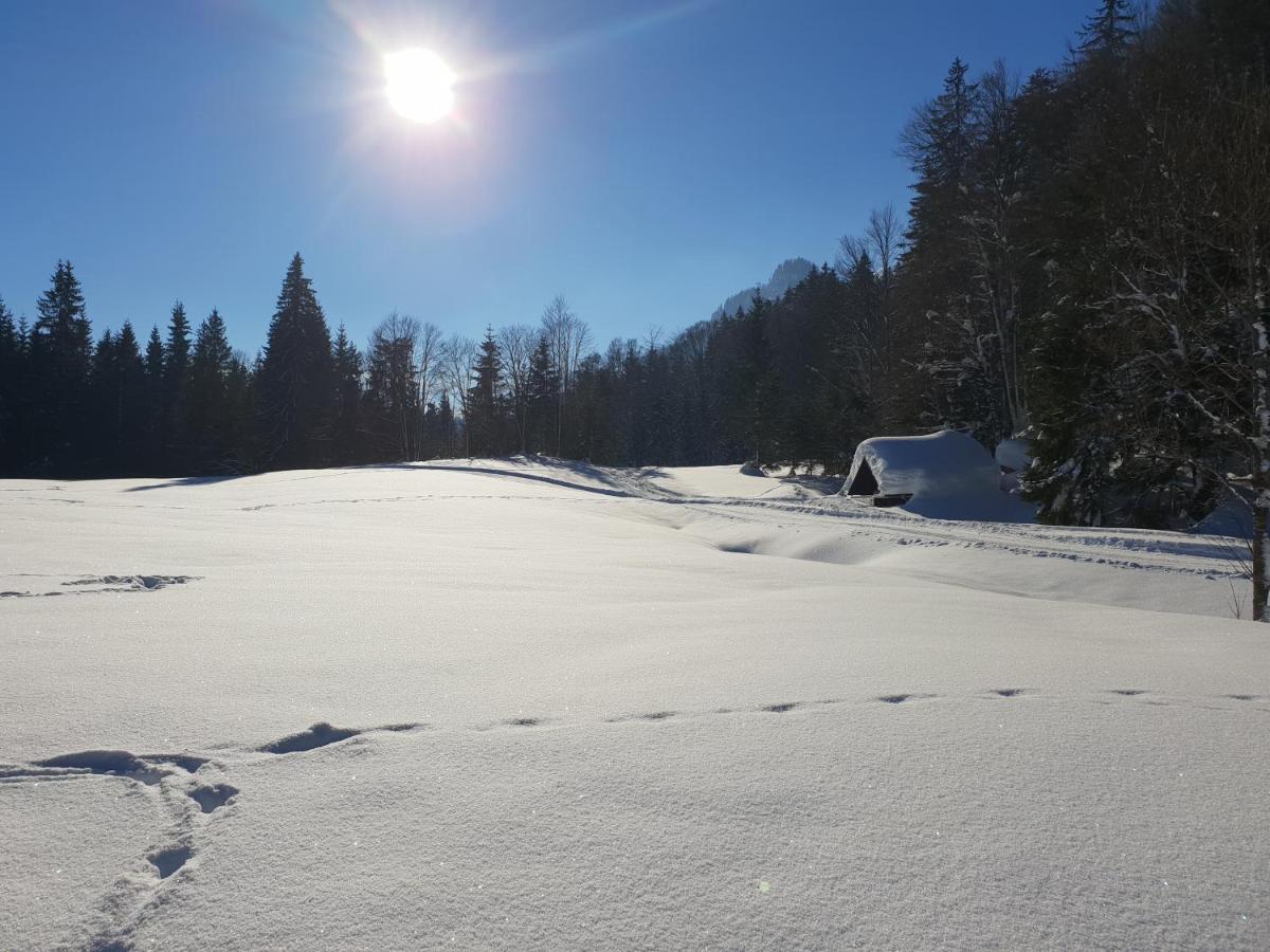 Haus Bergblick Daire Altaussee Dış mekan fotoğraf